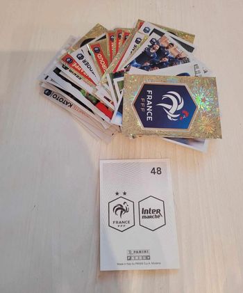 Lot carte family foot panini