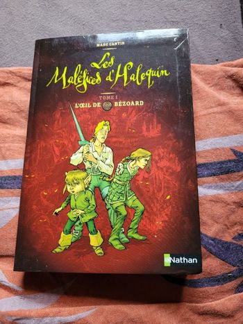 Les maléfices d Halequin Tome 1  l œil de Bezoard