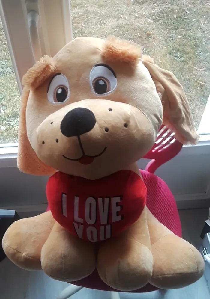 Gros nounours chien - photo numéro 4