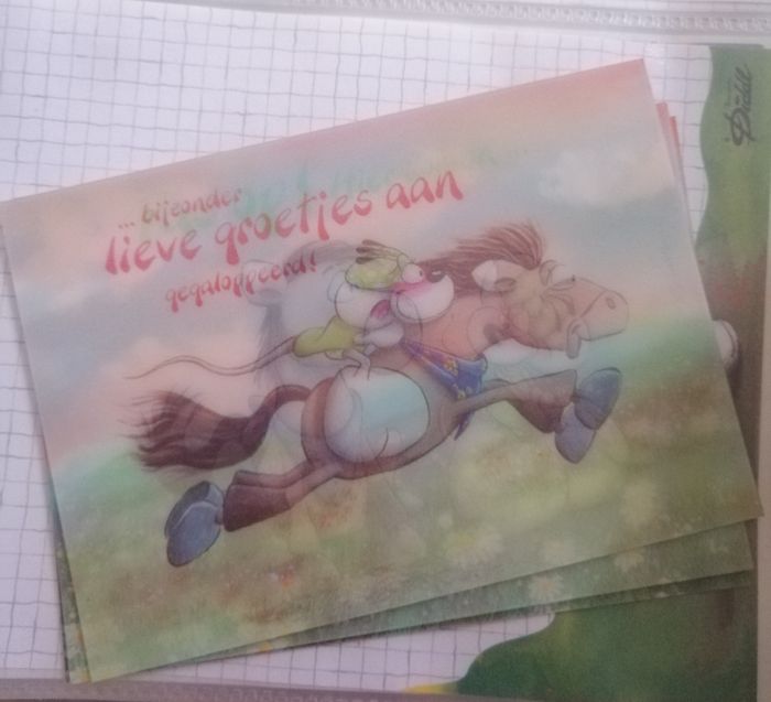 Lot carte diddl - photo numéro 10