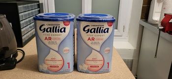 Deux boîtes de lait Gallia AR 