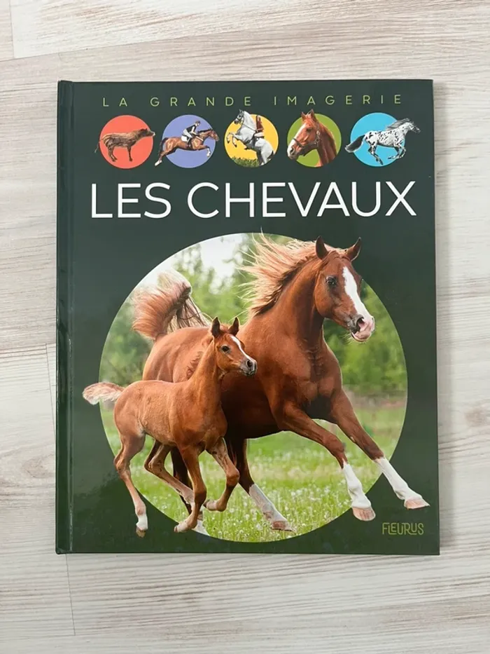 La grande imagerie les chevaux