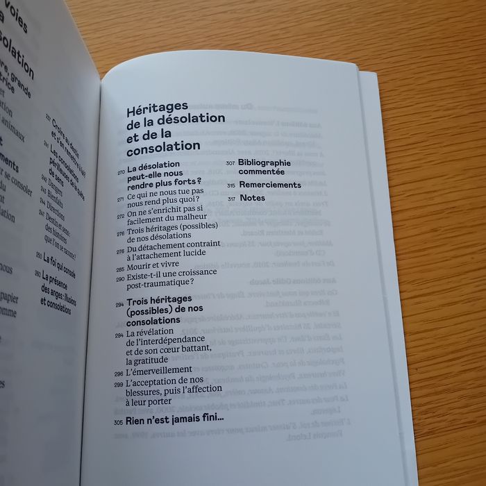 Consolations - photo numéro 10