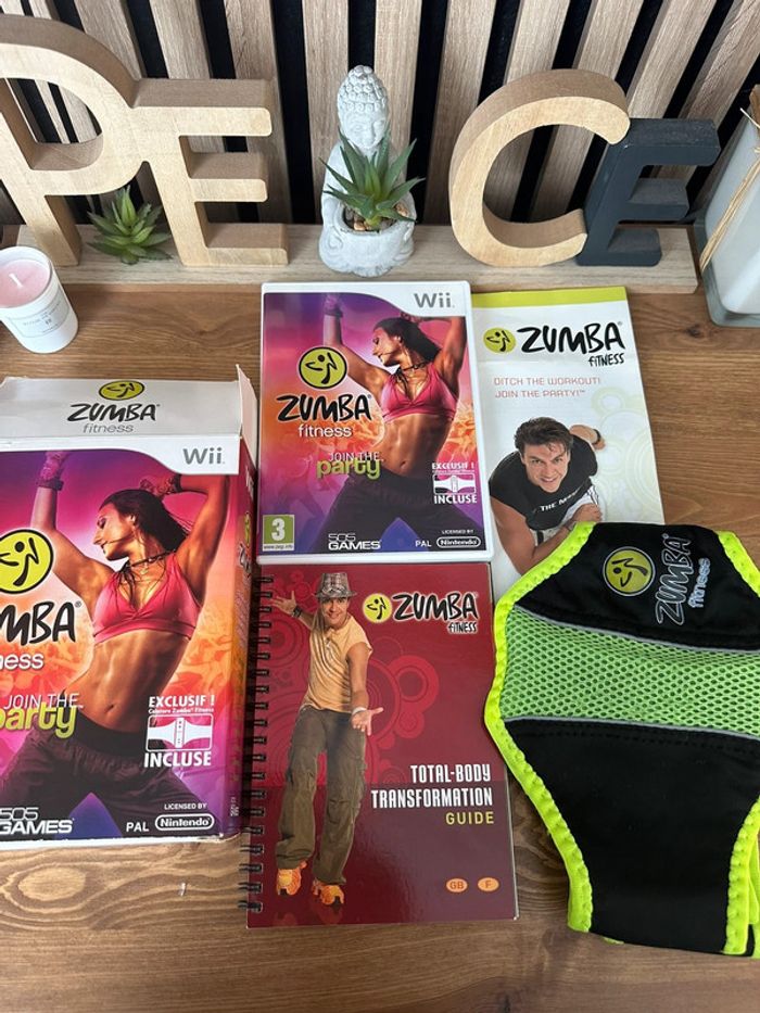 Jeu Zumba Wii - photo numéro 4