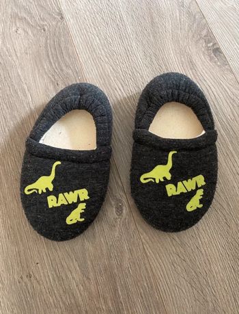 Chausson dinosaure 28