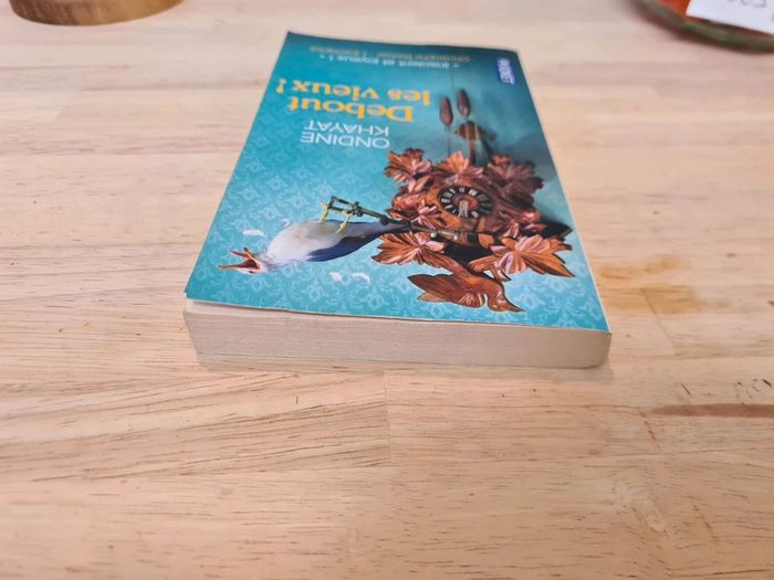 Livre poche Debout les vieux ! De Ondine Khayat - photo numéro 6