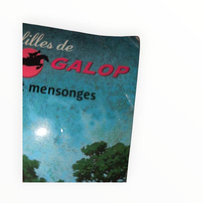 Livre les filles de grand galop secret et mensonges - photo numéro 2