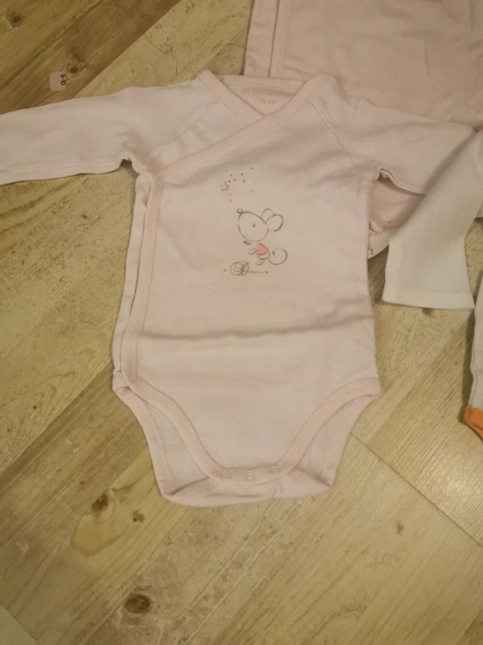 Bodies 74 cm - photo numéro 2