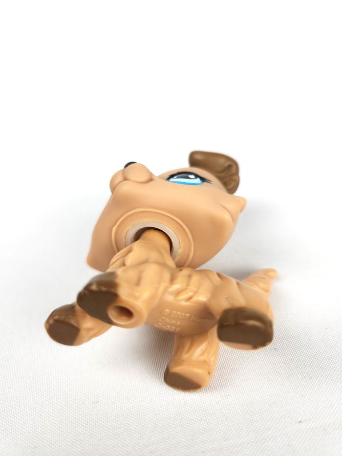 Littlest Petshop LPS Chien Border Collie #893 - photo numéro 5