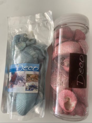 Lot coquillages