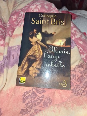Marie l ange rebelle