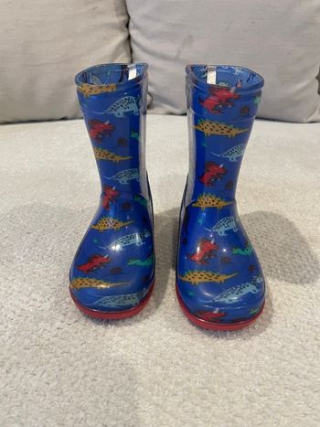 Bottes de pluie