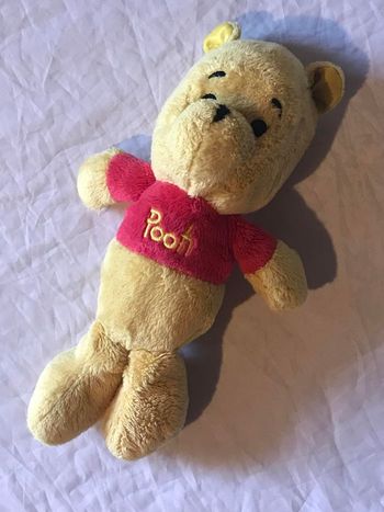 Petit Ourson Ours Winnie Veste Rouge Ecriture Pooh Oreilles Pailletées Peluche Petits Enfants Bébés