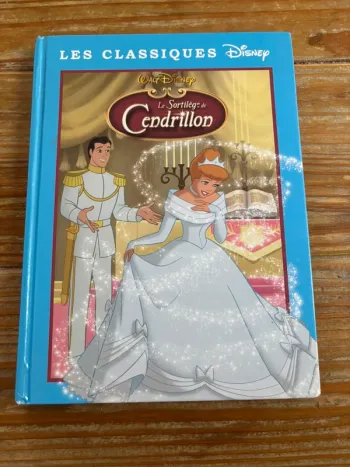 Livre « le sortilège de Cendrillon »