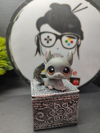 Lps01356 My Littlest Petshop LPS Pet Shop Chinchilla 144 