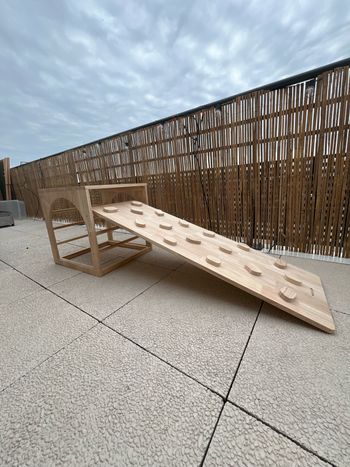 Cube et rampe escalade en bois