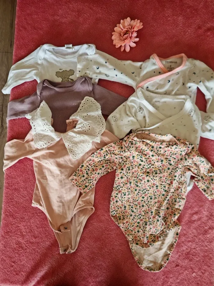 Lot 6 bodies 6 mois