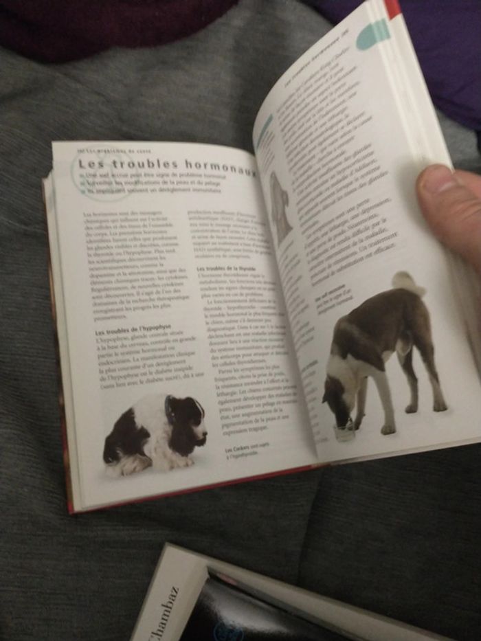 Le guide de référence du chien par docteur Bruce folge - photo numéro 13