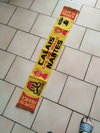 Écharpe calais nantes