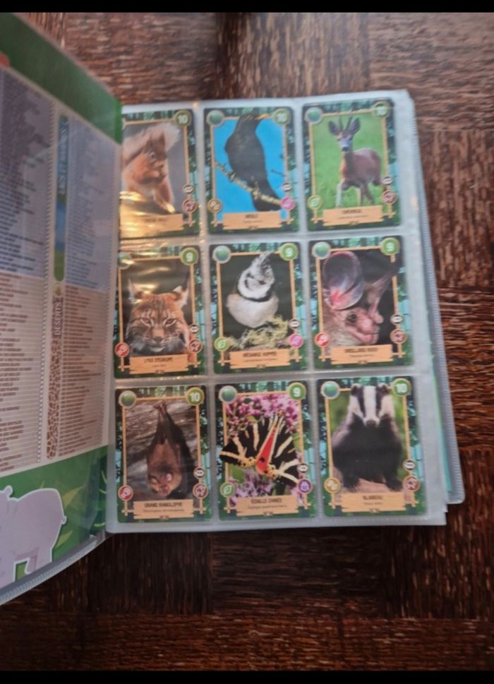 Rewild panini - photo numéro 2