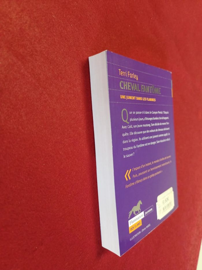 Cheval fantôme Tome 3 " Une jument dans les flammes " Terri Farley - photo numéro 15