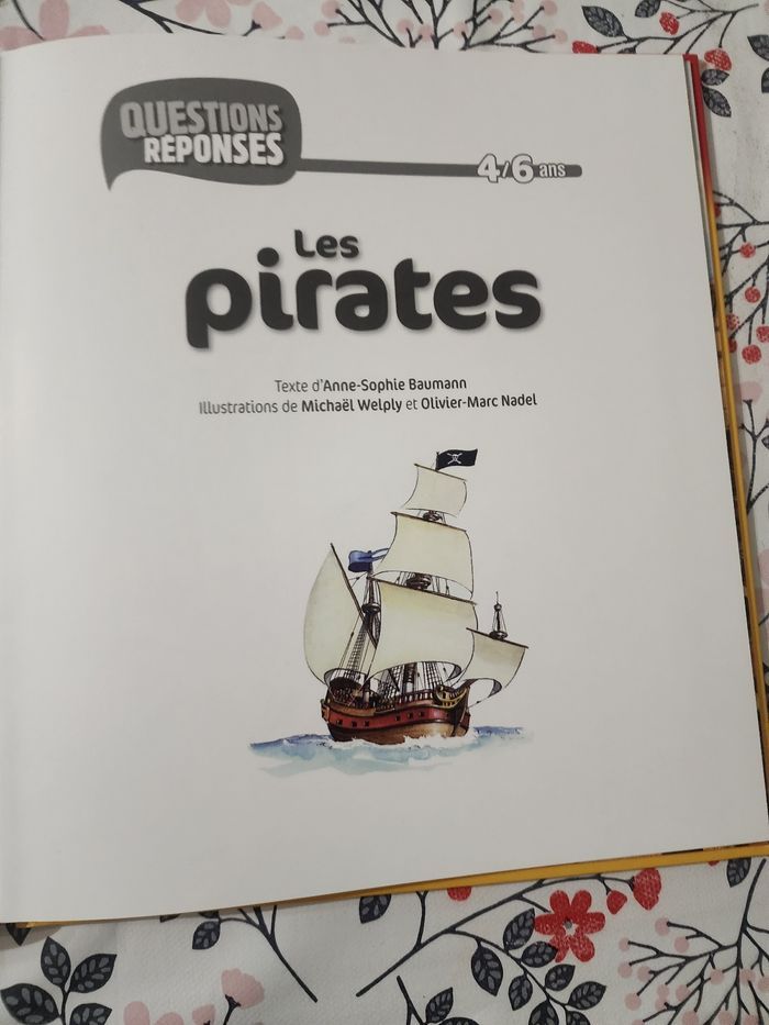 Livre pirate - photo numéro 2