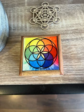 Boîte lotus coloré neuve