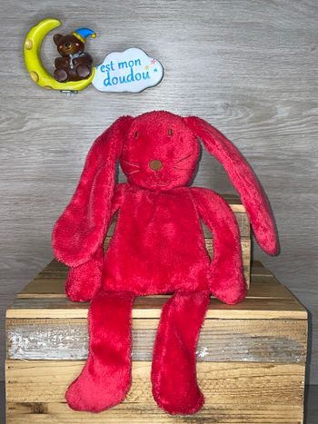 DP31 doudou lapin 🐰 DPAM 