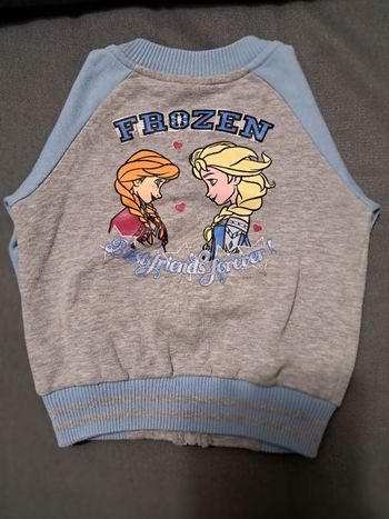 Veste Reine des Neiges