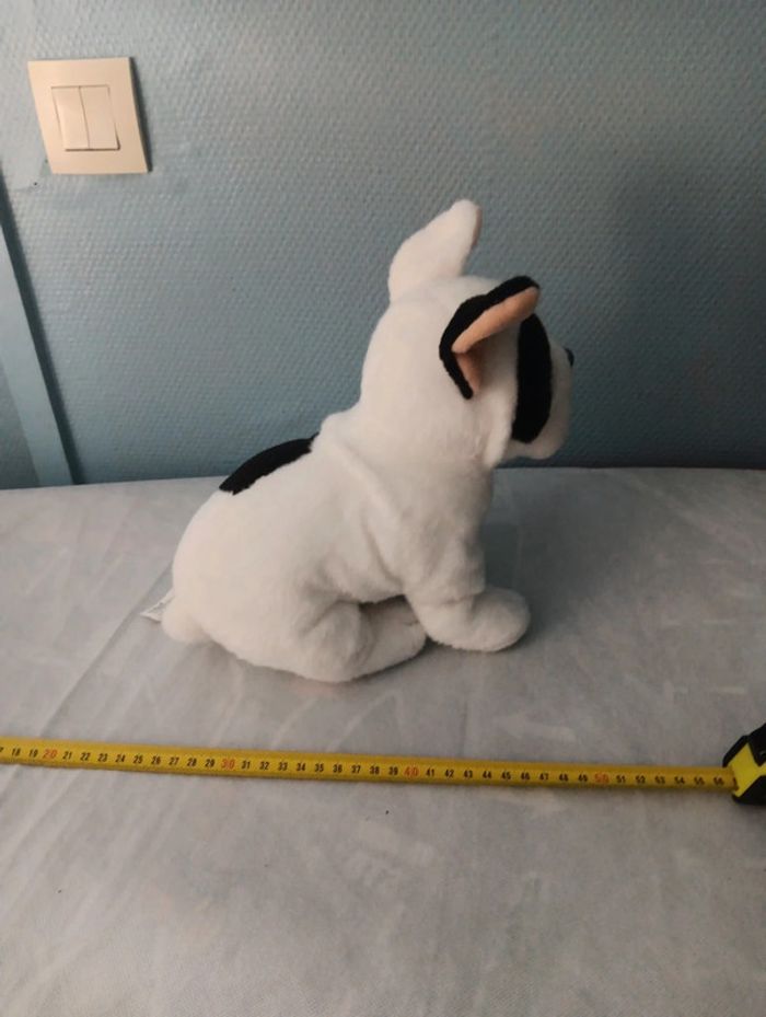 Chien - photo numéro 3