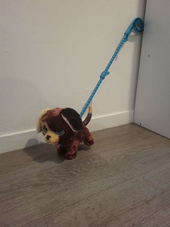 Chien Furreal grand marcheur