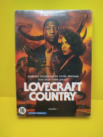 Lovecraft country - Saison 1 - DVD (sous blister)