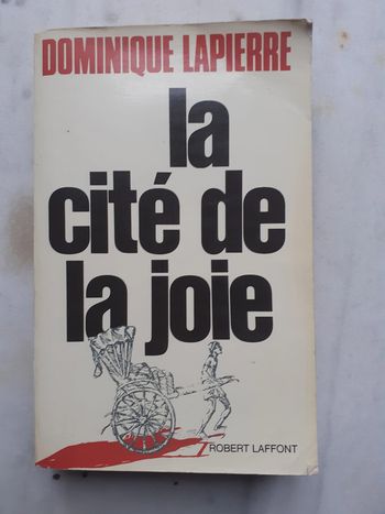 La cité de la joie