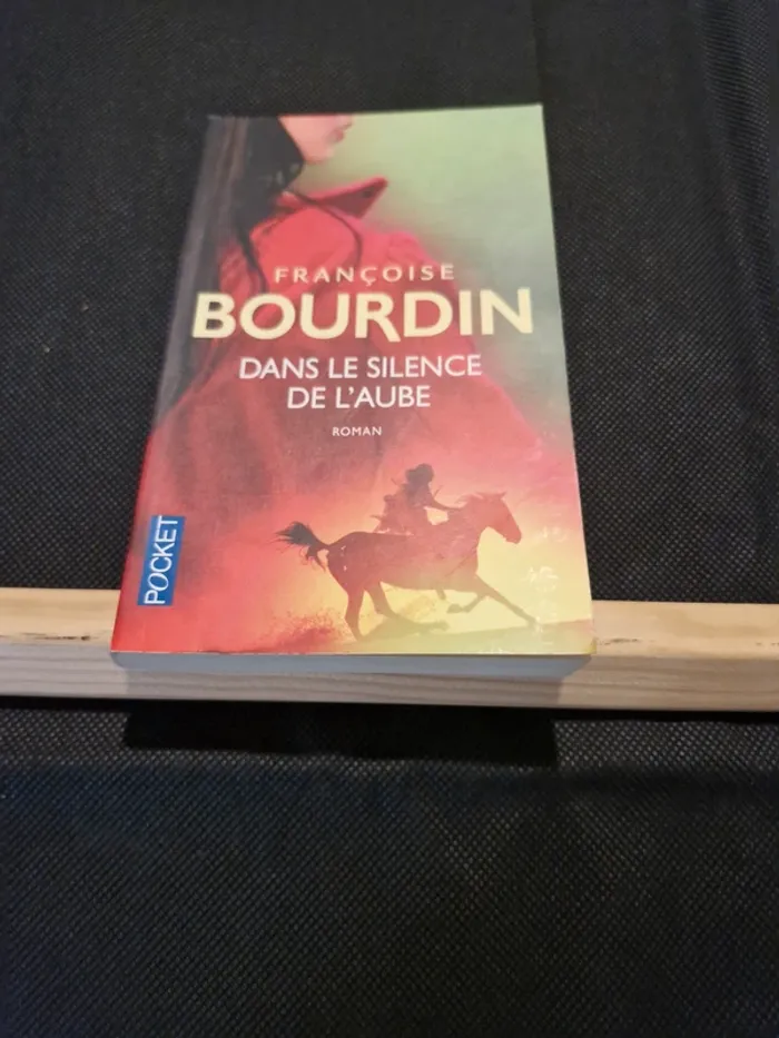 Dans le silence de l'aube - Françoise Bourdin - photo numéro 2