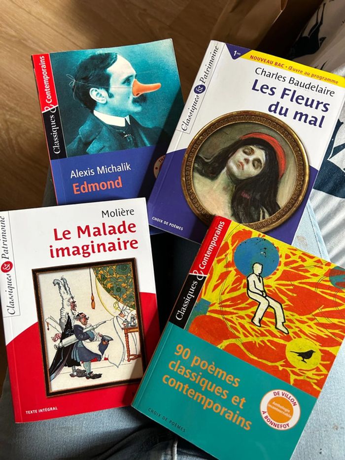Lots de livre - photo numéro 7