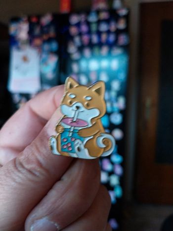 Pins chat ou chien