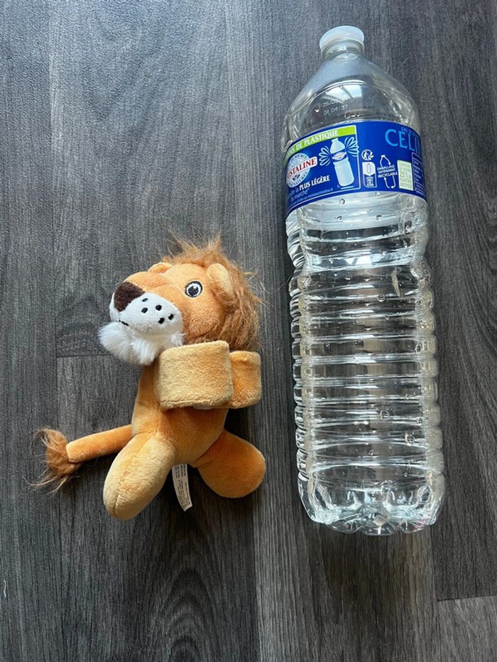 Doudou, petit Lion - photo numéro 2