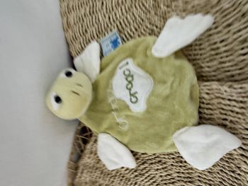 Doudou plat grenouille verte croac croac EVEIL ET TENDRESSE