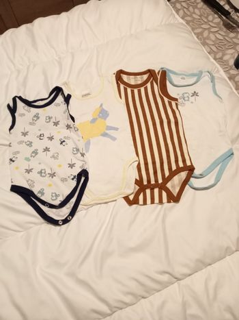 Lot 4 bodies sans manches