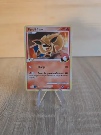 Pyroli niv.55 60/111