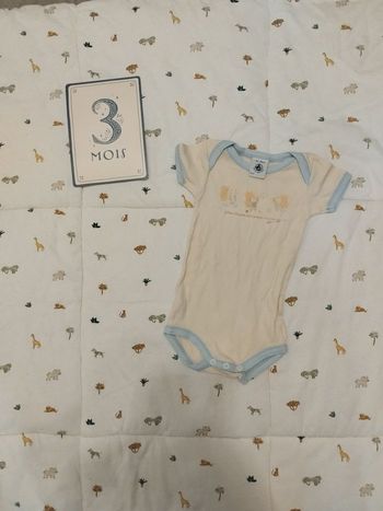 Lot bodys 3 mois 