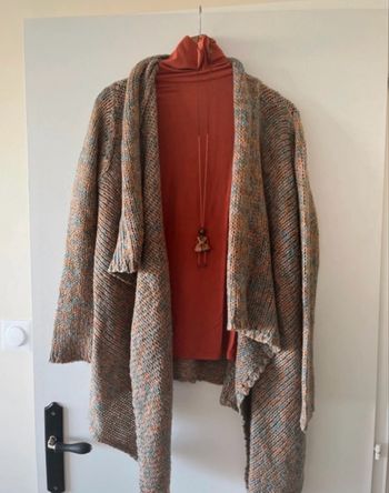 Lot gilet + sous pull + collier