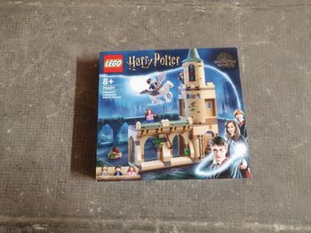 Lego Harry Potter 76401 : La cour de Poudlard : le sauvetage de Sirius [NEUF]