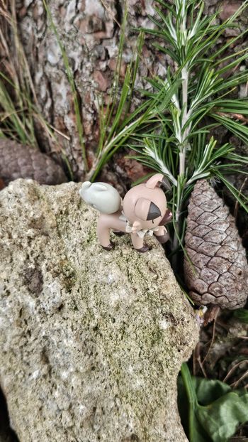 Super figurine Pokemon nintendo tomy rocabot 