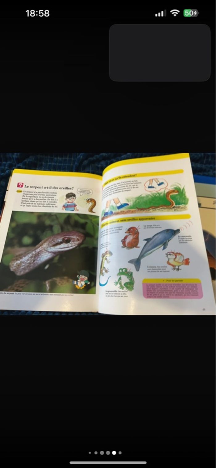 Lot de 6 livres pour enfants