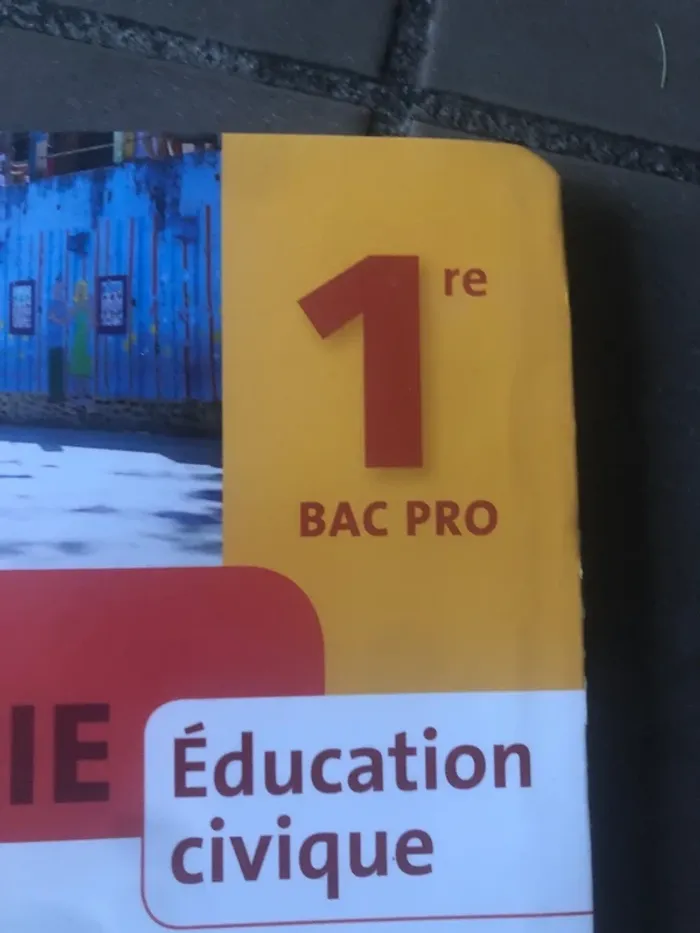 Livre d’histoire géographie éducation civique 1re BAC pro 📕 - photo numéro 4