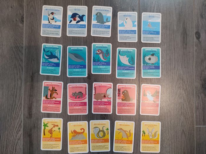 Jeu 7 familles - photo numéro 3