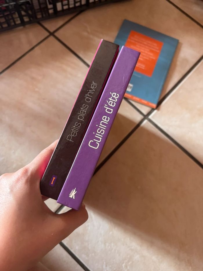 Livres de cuisine été / hiver - photo numéro 3
