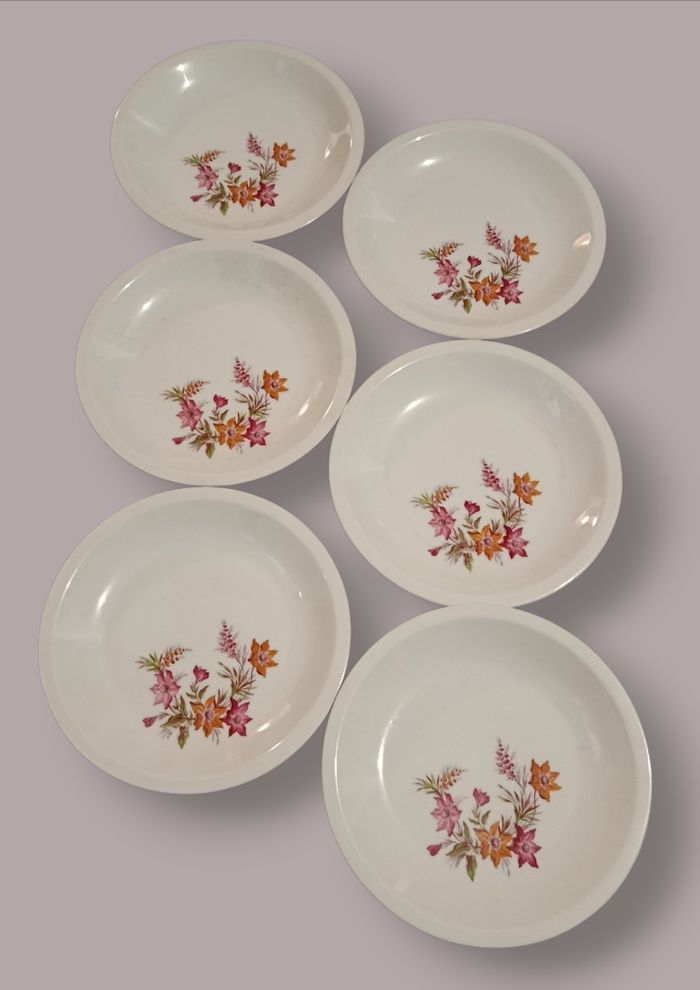 Lots de 6 assiettes fleuries (Porcelaine) - photo numéro 1