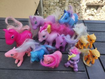 Petit poney